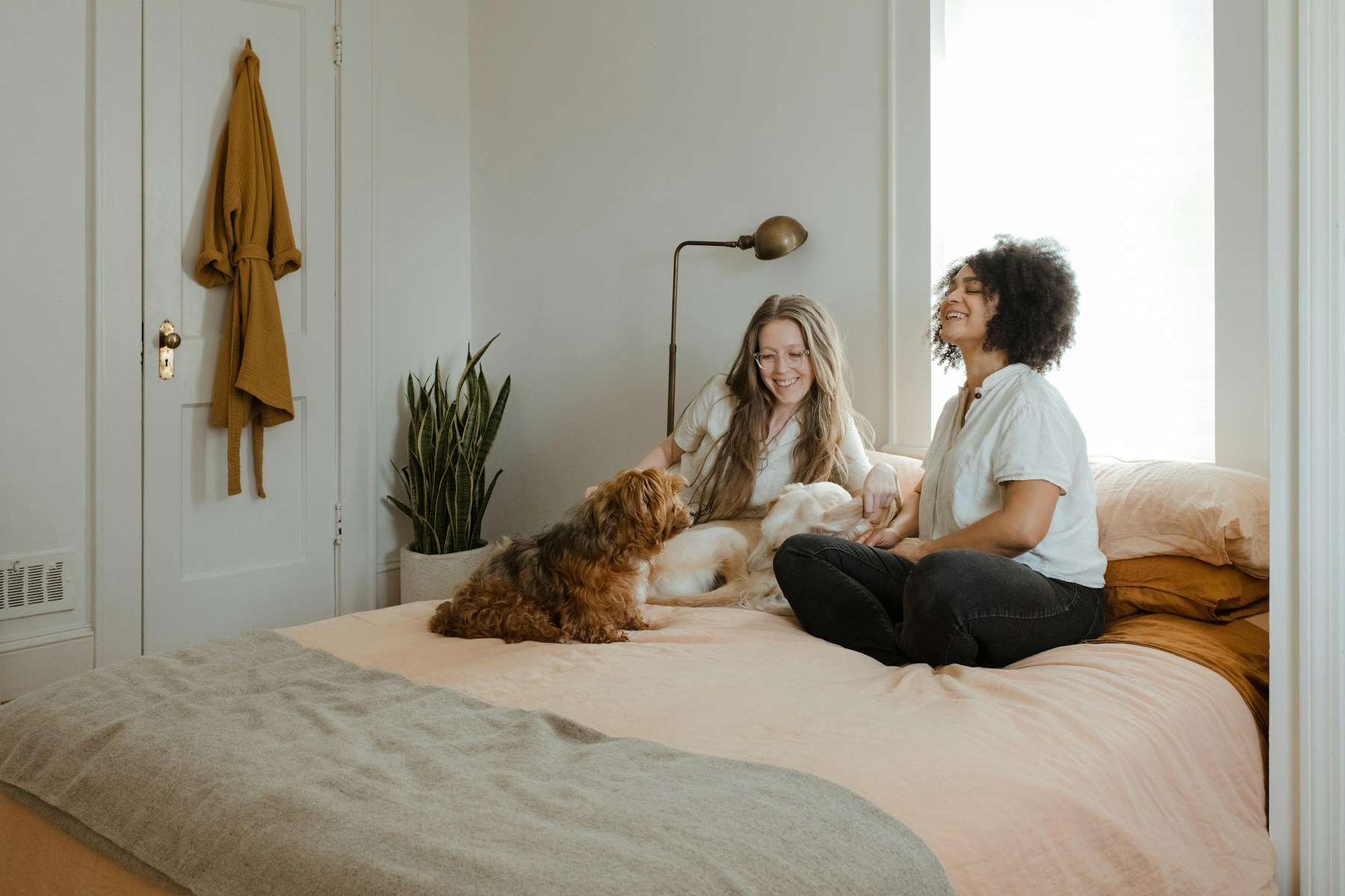 Is een hond in bed gezond?